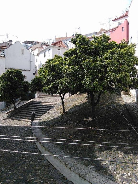 Apartamento - Alfama
